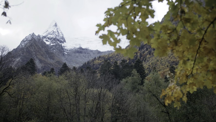 Similar image 22461356