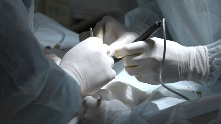 Similar image 22461628