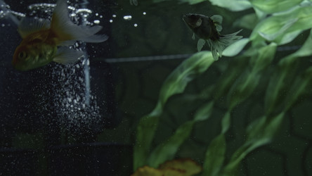 Similar image 22461642