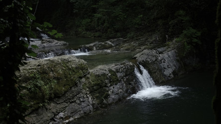 Similar image 22461778