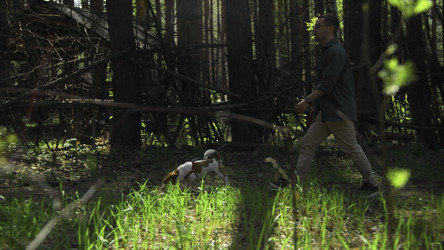 Similar image 22461807