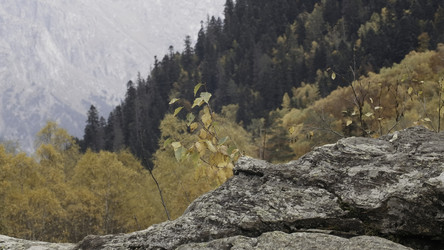 Similar image 22462168