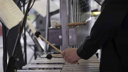 Similar image 22462586