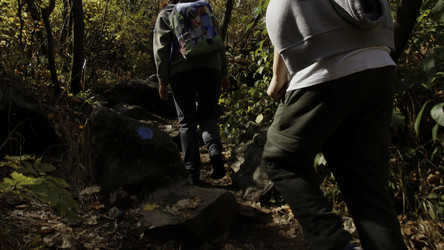 Similar image 22462753