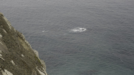 Similar image 22462826