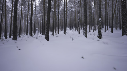 Similar image 22463816