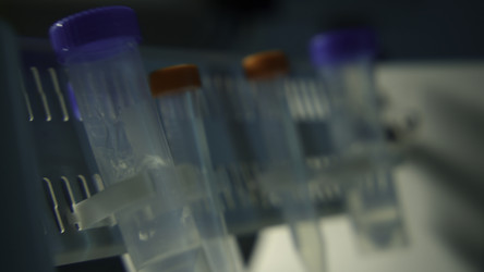 Similar image 22462257