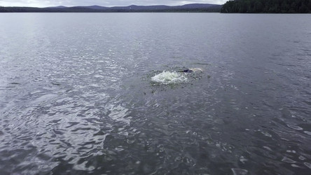 Similar image 22462870