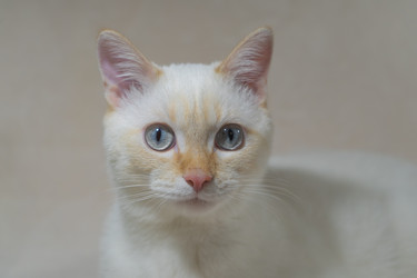 Similar image 22462931