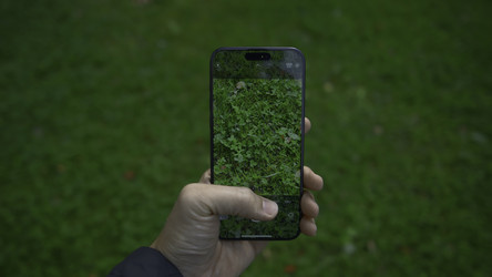 Similar image 22463021