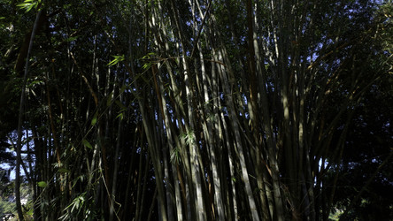 Similar image 22463095