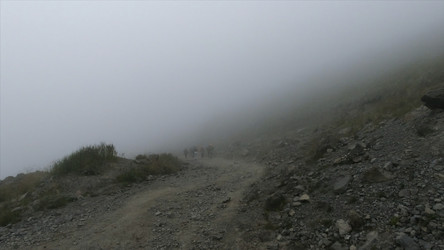 Similar image 22463157