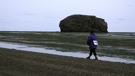 Similar image 22464057