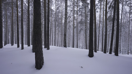 Similar image 22469856