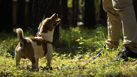 Similar image 22461299