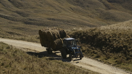 Similar image 22461598