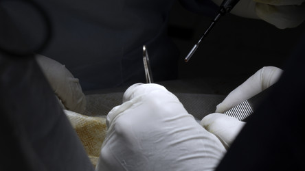 Similar image 22462243