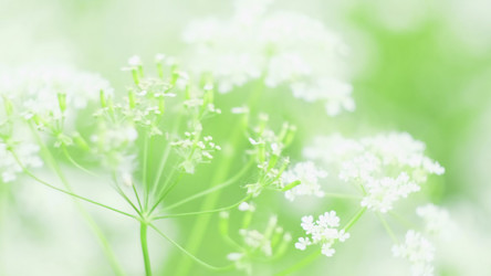 Similar image 22462258