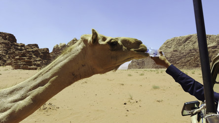 Similar image 22462303