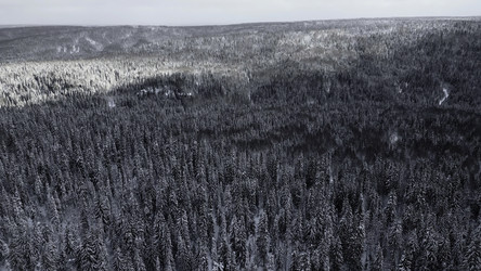 Similar image 22462317