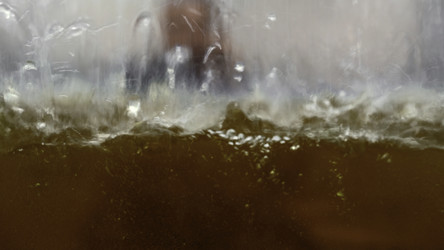 Similar image 22463052