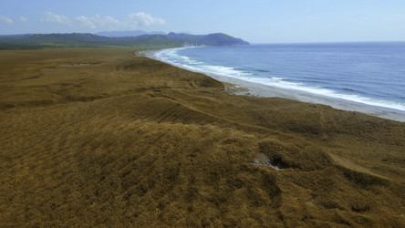 Similar image 22463216