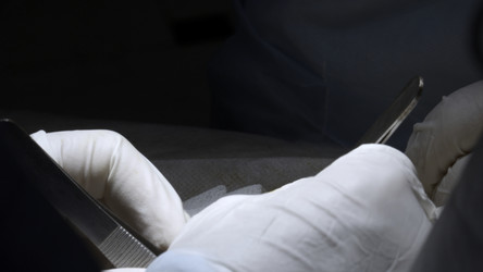 Similar image 22463261