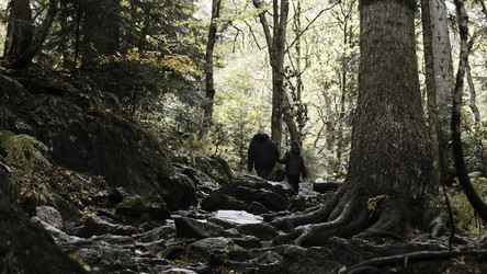 Similar image 22463292