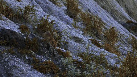 Similar image 22463307