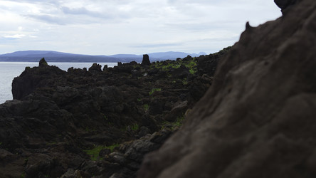 Similar image 22463351