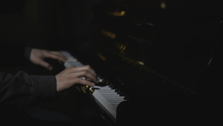 Similar image 22463592