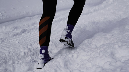 Similar image 22463771