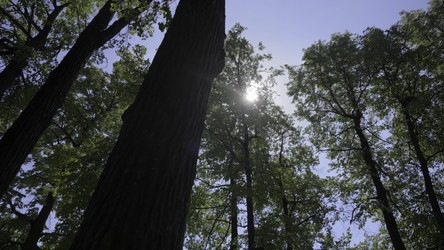 Similar image 22463802