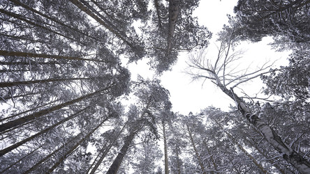 Similar image 22461315