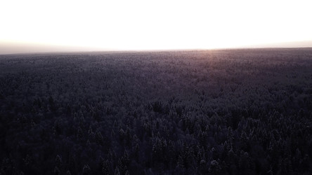 Similar image 22461494