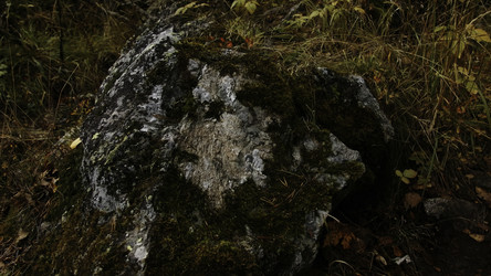 Similar image 22461509