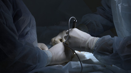 Similar image 22461600