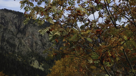 Similar image 22461839