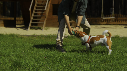 Similar image 22462080