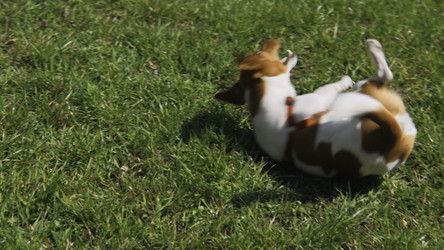 Similar image 22462229