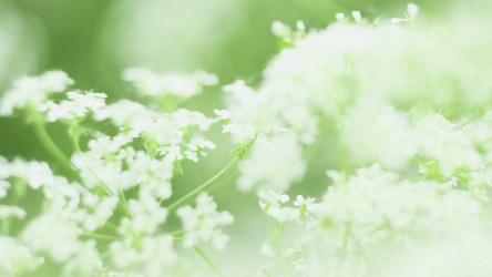 Similar image 22462319