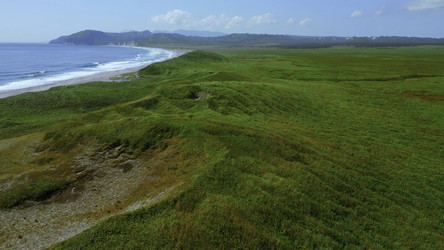 Similar image 22462409