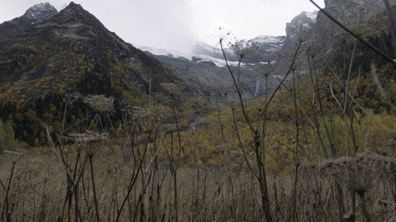 Similar image 22463082