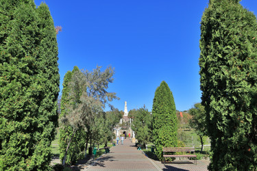 Similar image 22456565