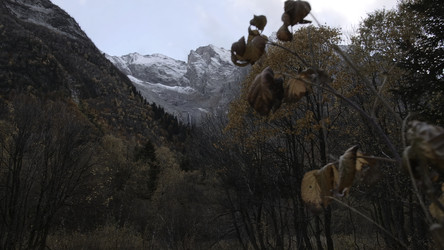 Similar image 22461405