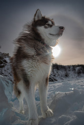 Similar image 22454568