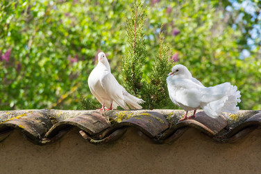 Similar image 22454168