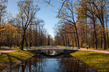 Similar image 22454177