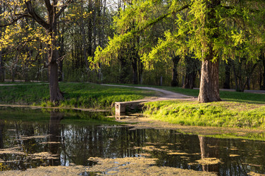 Similar image 22454180