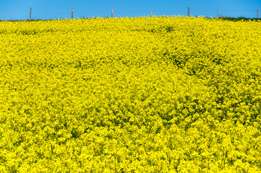 Similar image 22454186